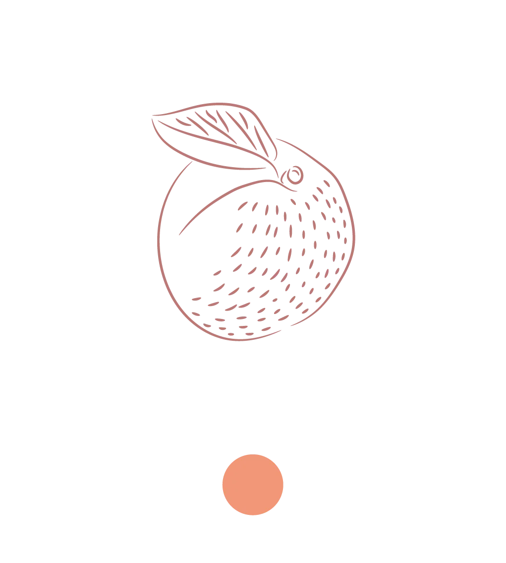 Dolce e vellutata, l’albicocca che scegliamo per i nostri cioccolati è coltivata sotto il sole del Mediterraneo, dove il clima mite ne esalta la polpa succosa e il profumo intenso. Raccogliamo solo i frutti maturi al punto giusto, quando il colore si fa dorato e la consistenza regala equilibrio tra freschezza e morbidezza.