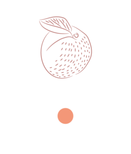 ALBICOCCA VALLEGGIA. Sulla costa della Riviera di Ponente fra Loano e Varazze, si coltivano le albicocche Valleggia o valleggine. Di piccola dimensione, la loro buccia è sottile e picchettata e il loro sapore è intenso e inconfondibile.