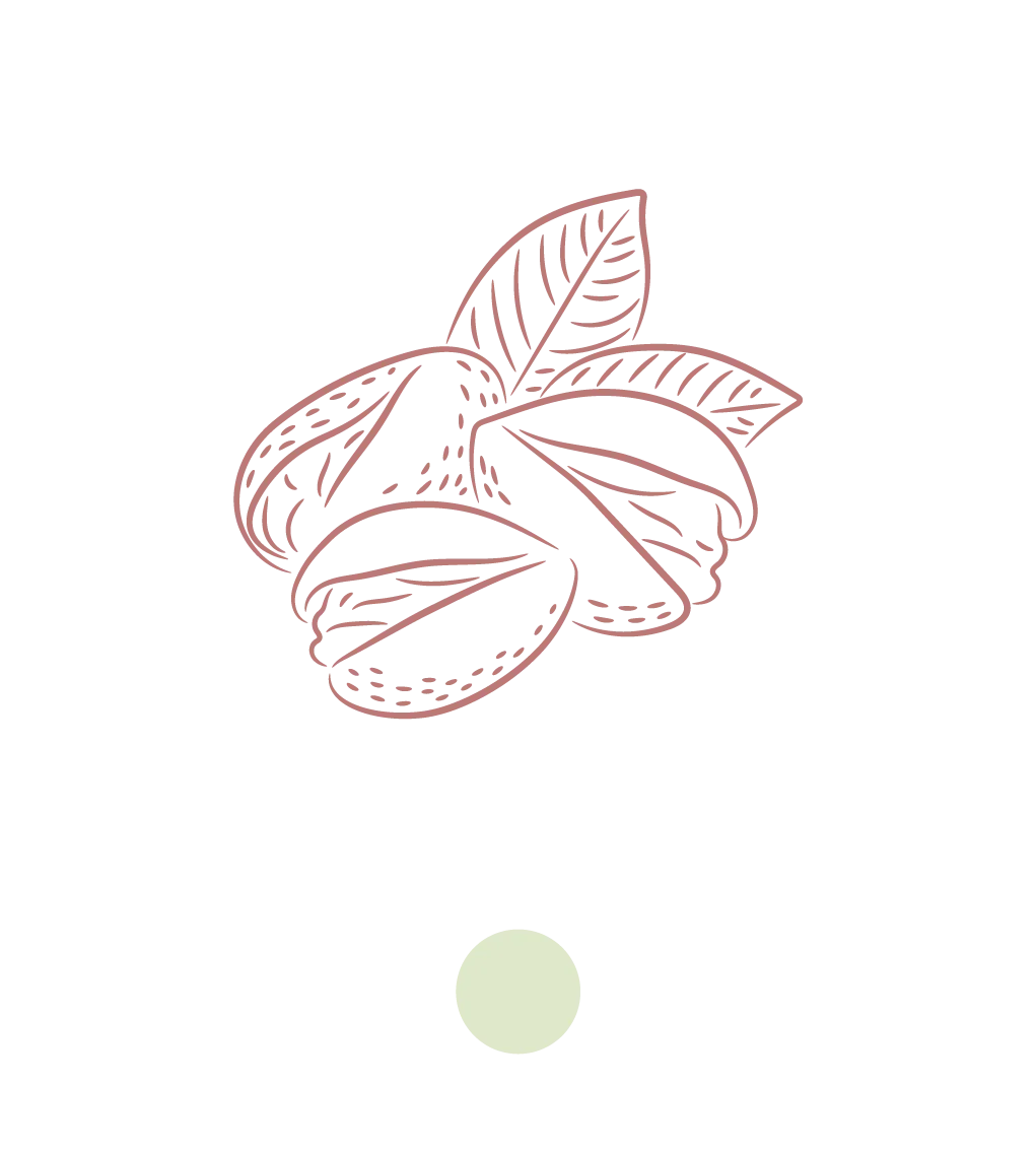 Il pistacchio è un frutto nobile, ricco e profumato: un piccolo seme capace di racchiudere tutta la forza della terra e del sole.Scegliamo solo pistacchi dal colore vivo e dal gusto pieno, tostati con delicatezza per esaltarne l’aroma naturale e la texture cremosa.