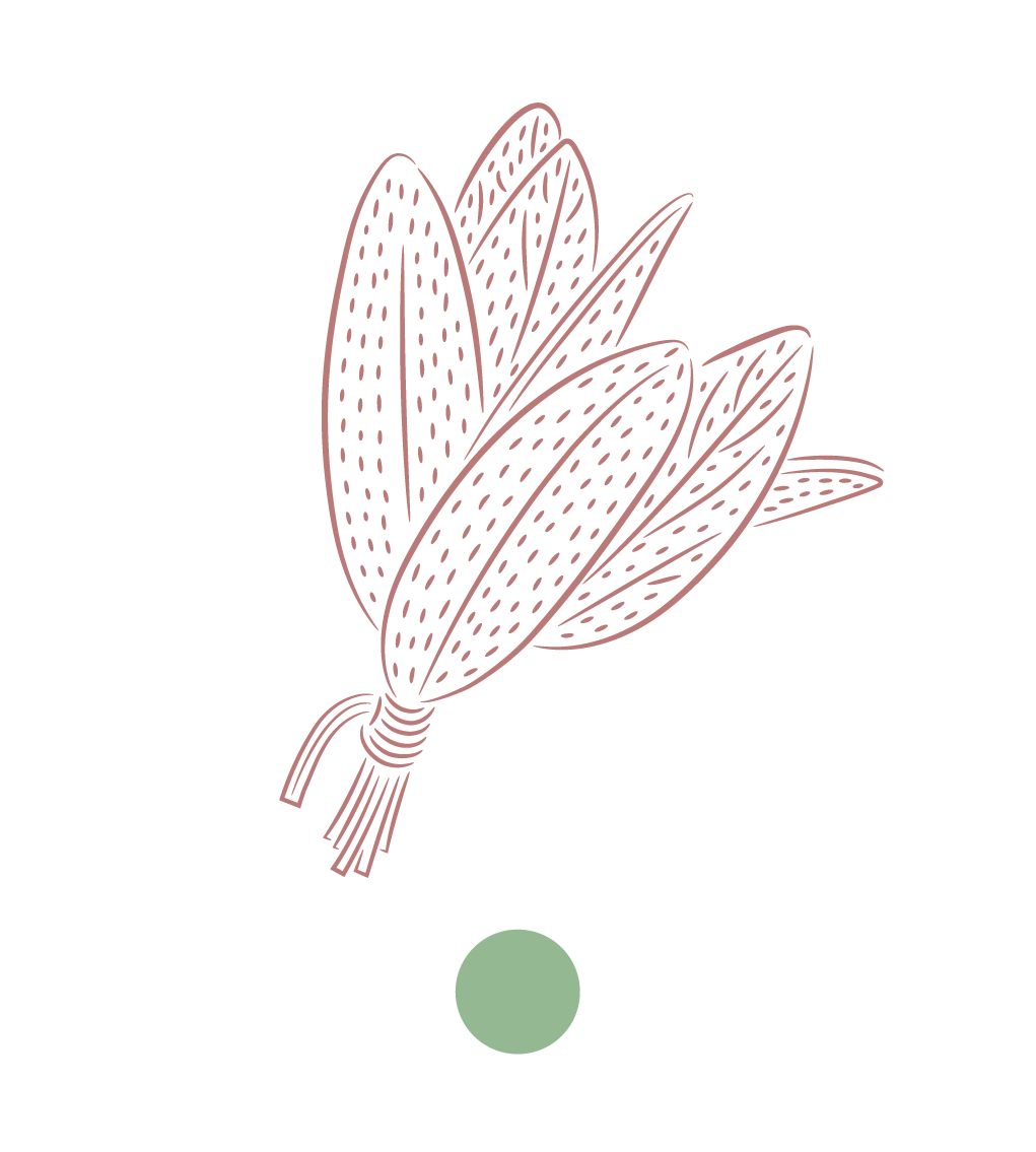 SALVIA DEL PARCO DEL BEIGUA